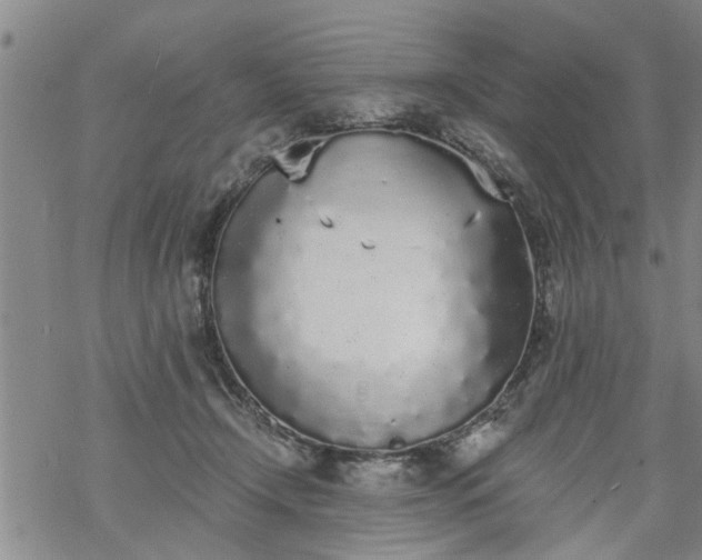 X0000069380366200605192155