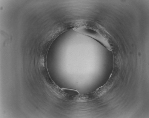 X0000069380368200605192155