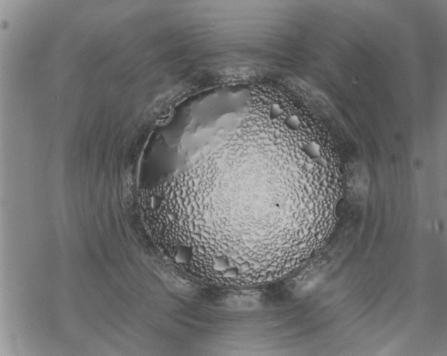 X0000069380369200605192155