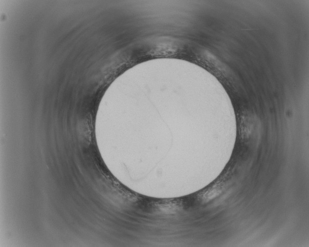 X0000069380370200605192155