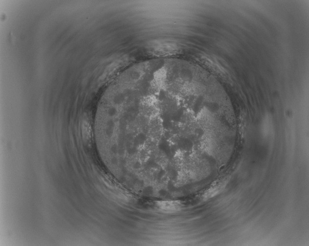 X0000069380371200605192155