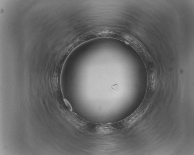 X0000069380372200605192155