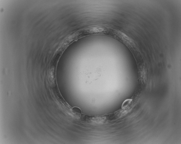 X0000069380373200605192155