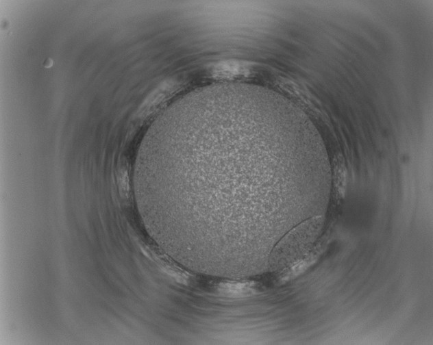 X0000069380375200605192155