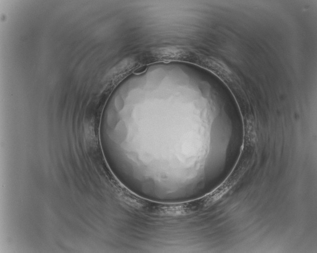 X0000069380377200605192155