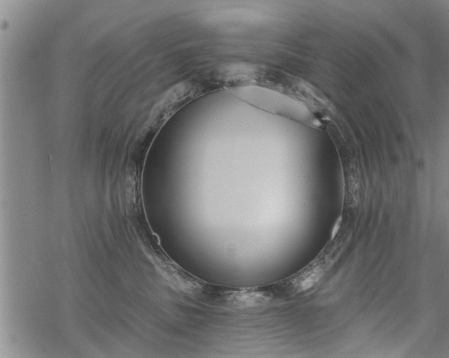 X0000069380379200605192155