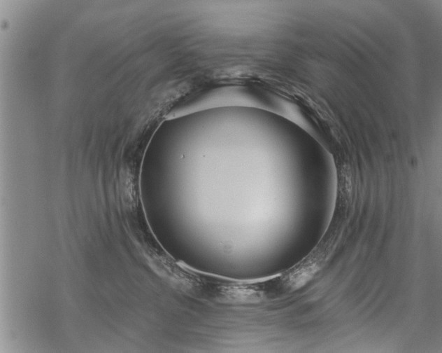 X0000069380380200605192155