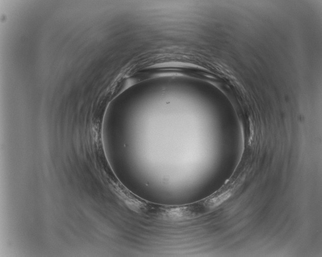 X0000069380382200605192155