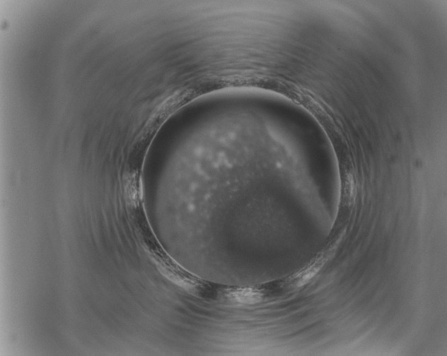 X0000069380383200605192155