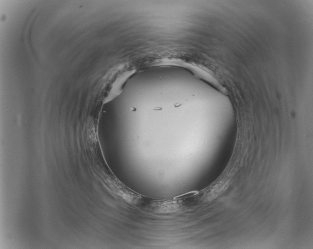 X0000069380384200605192155