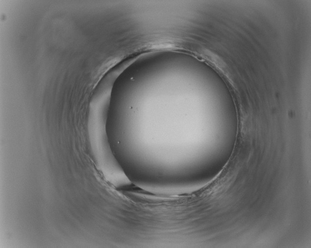 X0000069380385200605192154