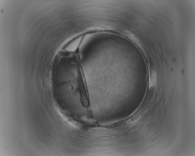 X0000069380387200605192154