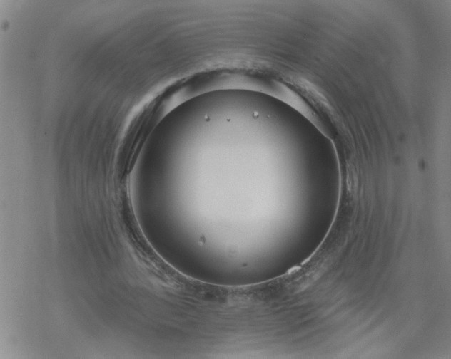 X0000069380388200605192154