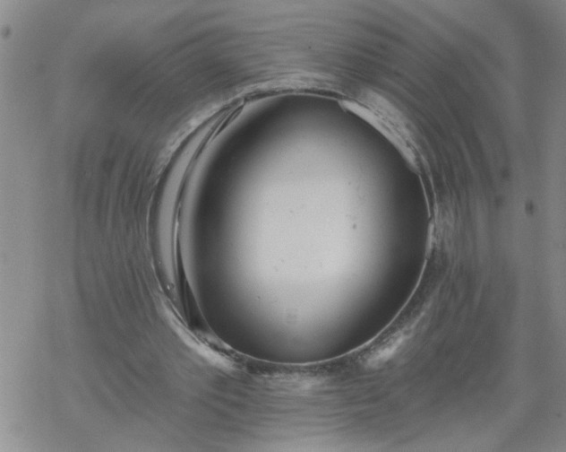 X0000069380389200605192154