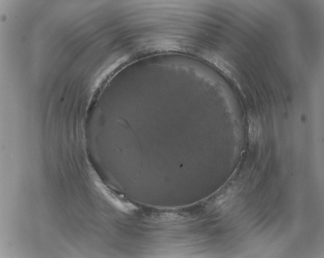 X0000069380390200605192154