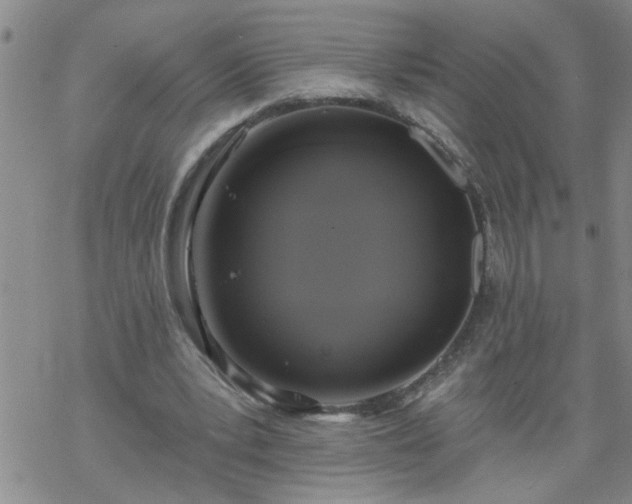 X0000069380391200605192154