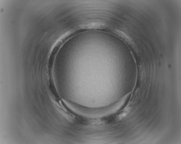 X0000069380392200605192154