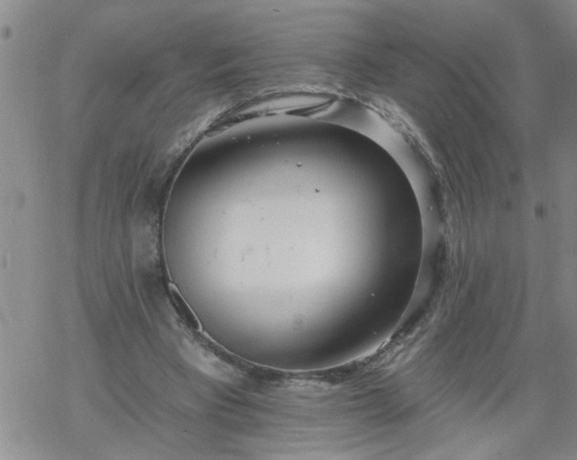 X0000069380393200605192154