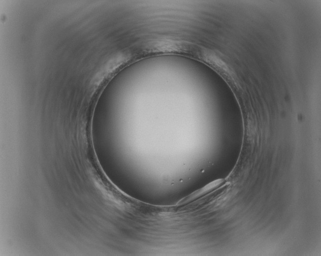 X0000069380394200605192154