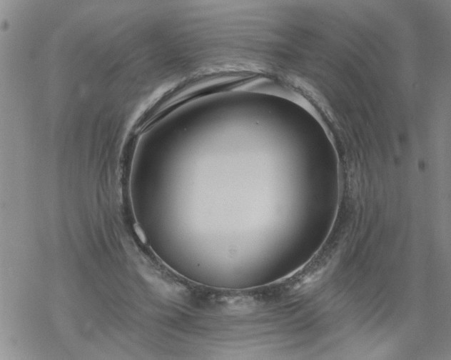 X0000069380395200605192154