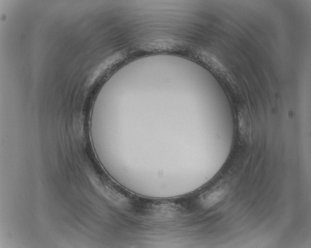 X0000069380396200605192154