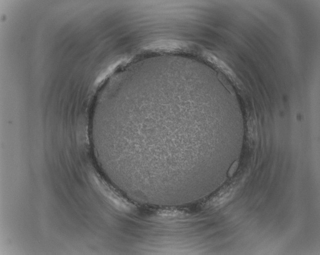 X0000069380399200605192154