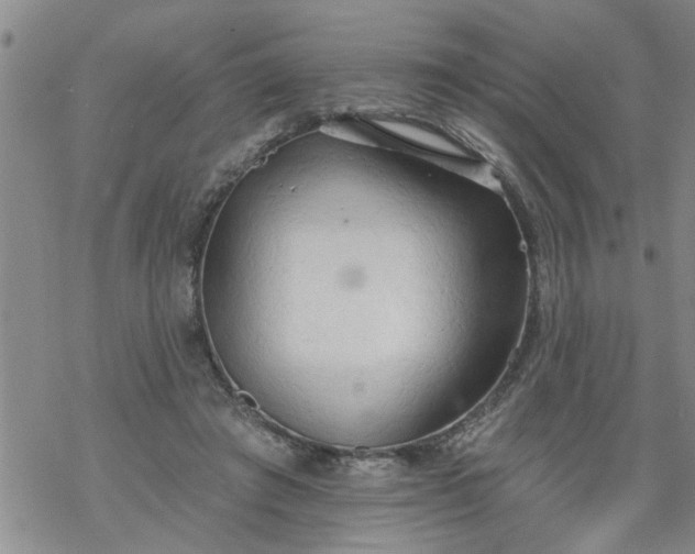 X0000069380401200605192154