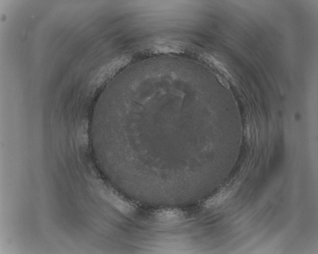 X0000069380402200605192154