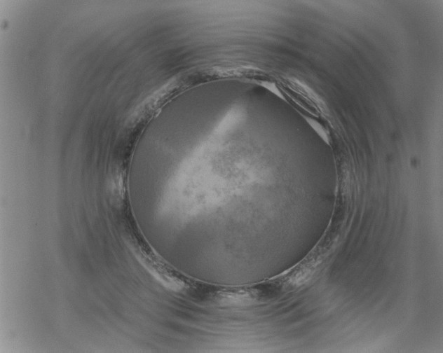 X0000069380405200605192154