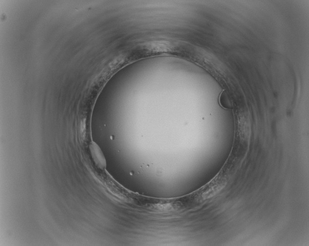 X0000069380406200605192154