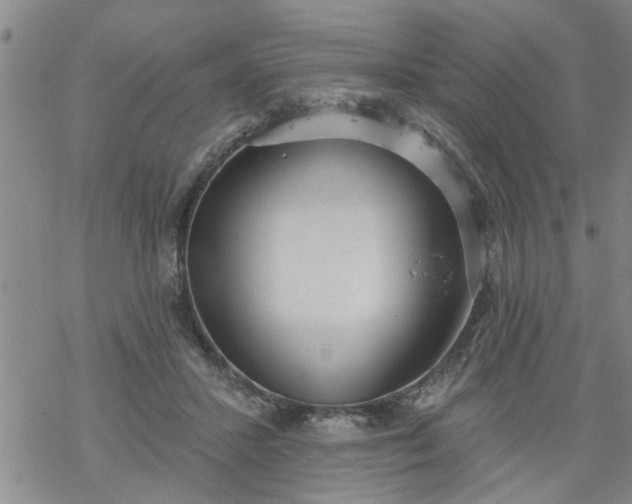 X0000069380407200605192154