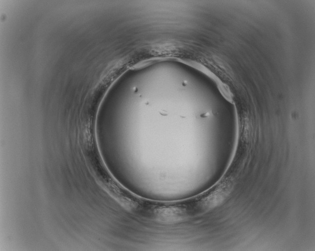 X0000069380408200605192154