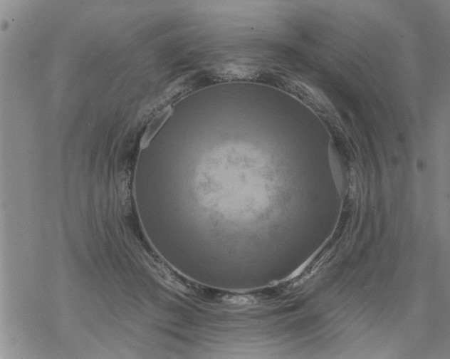 X0000069380409200605192154