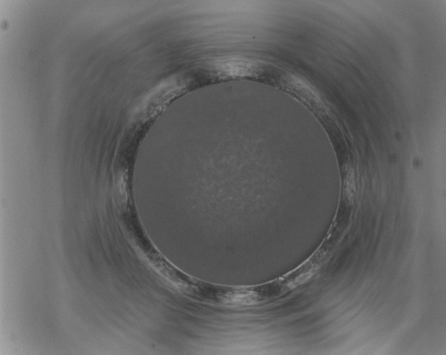 X0000069380410200605192154