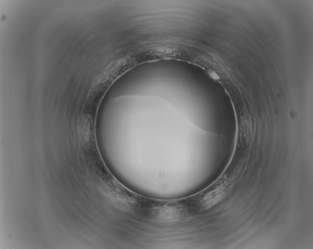 X0000069380412200605192154