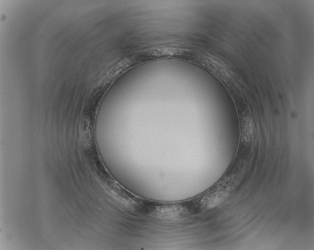 X0000069380414200605192154