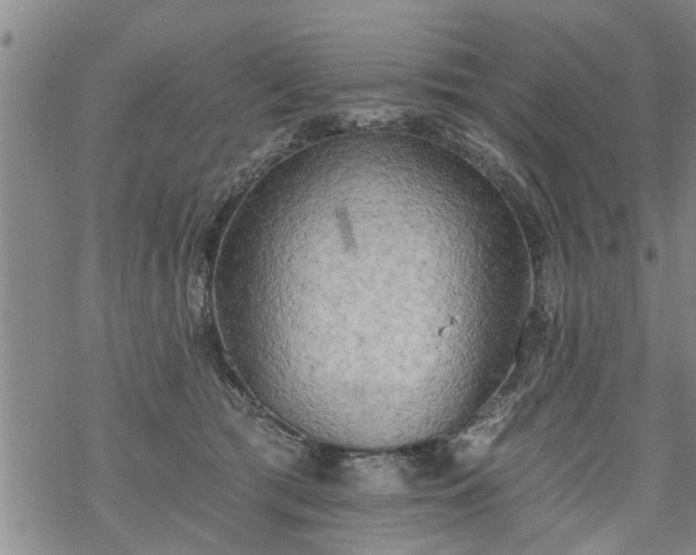 X0000069380417200605192154