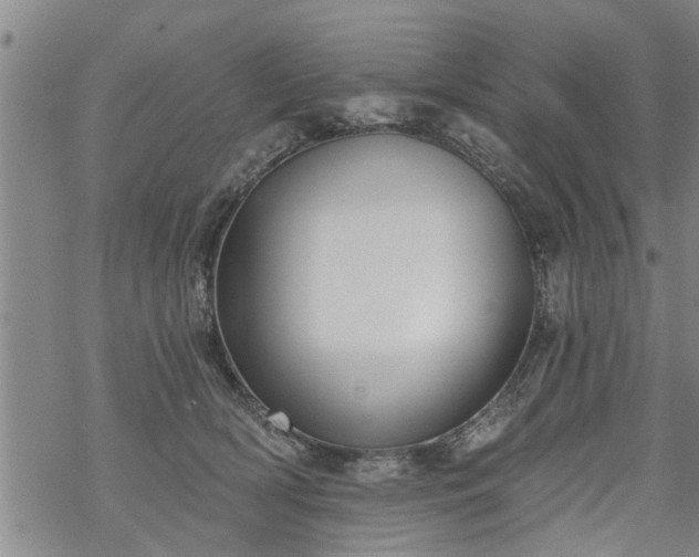 X0000069380418200605192154