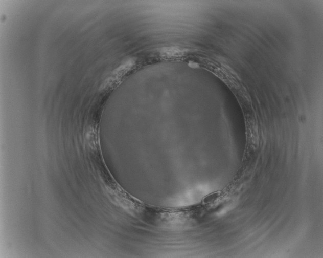 X0000069380419200605192154