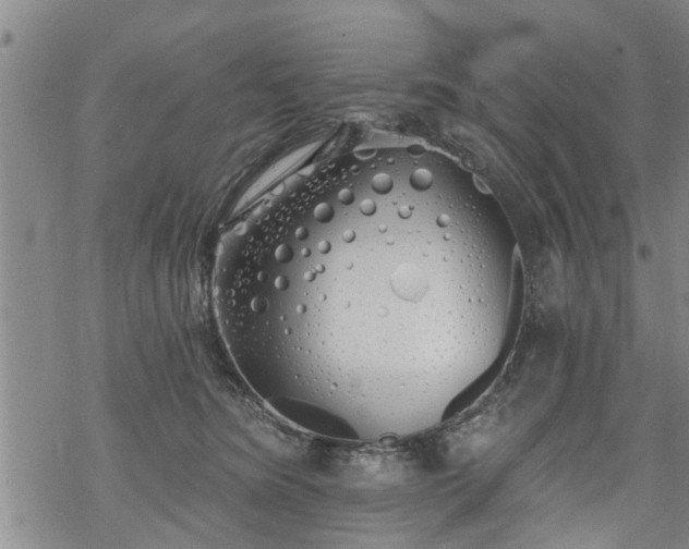 X0000069380420200605192154