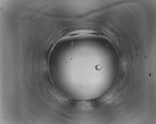 X0000069380421200605192154