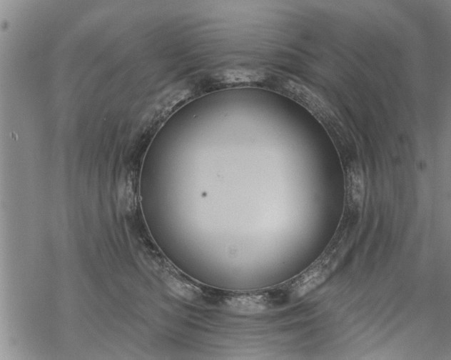 X0000069380422200605192154