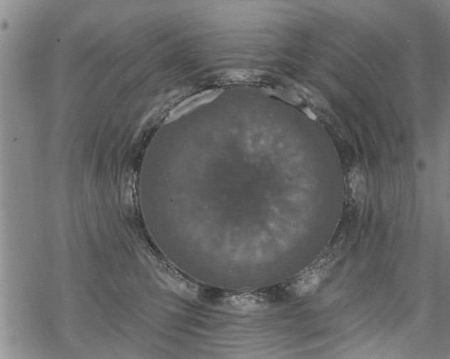 X0000069380423200605192154