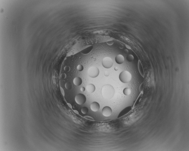 X0000069380424200605192154