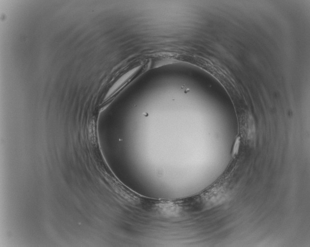 X0000069380425200605192153