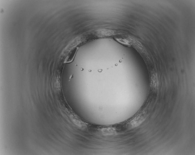 X0000069380426200605192153