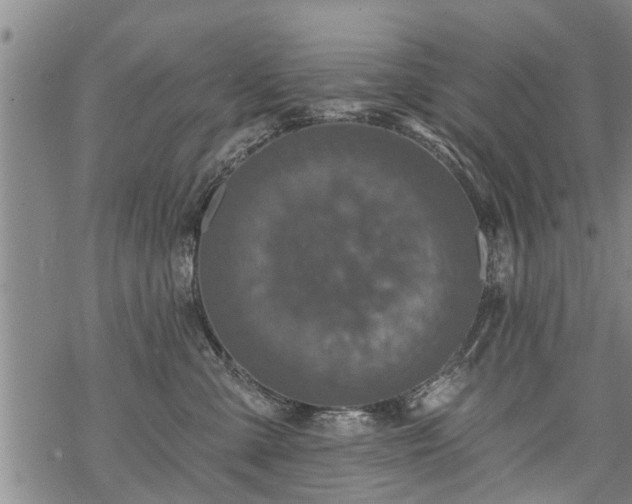 X0000069380427200605192153