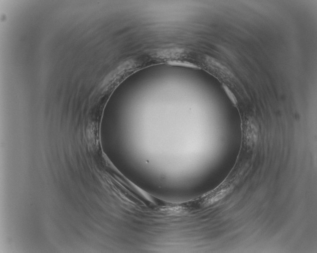 X0000069380428200605192153