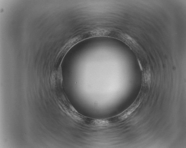 X0000069380429200605192153