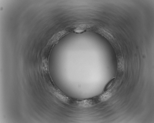 X0000069380430200605192153